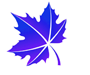 icon-leaf-6.png