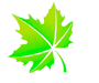 icon-leaf-3.png