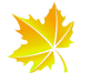 icon-leaf-2.png