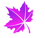 icon-leaf-5.png