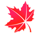 icon-leaf-7.png